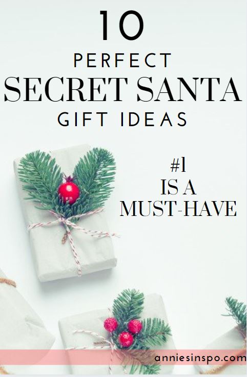 The Best Secret Santa Gift Ideas For Co-Workers On Amazon - Annie's Inspo